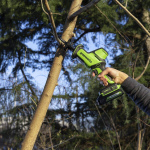 Пила сабельная аккумуляторная GREENWORKS GPT-CRS-25 (1200507CUB)