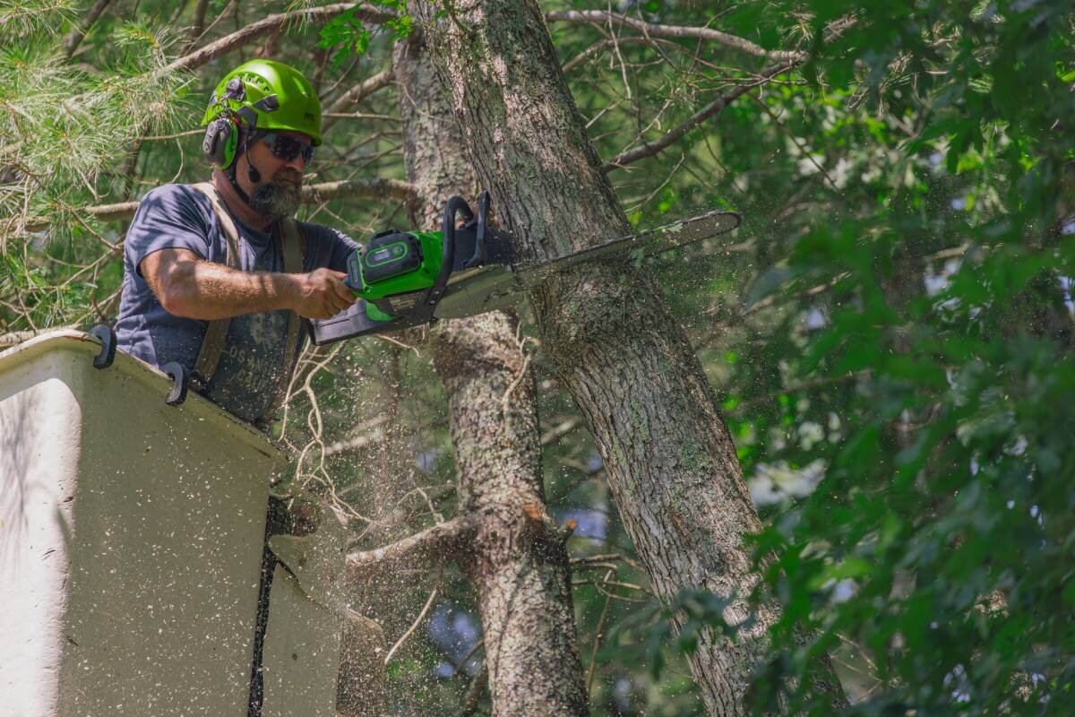 Пила цепная аккумуляторная GREENWORKS OCS500 (OCS500A1) [82В, без акб и з/у]