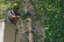 Пила цепная аккумуляторная GREENWORKS OCS500 (OCS500A1) [82В, без акб и з/у]