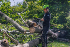 Пила цепная аккумуляторная GREENWORKS OCS600 (2009607) [82В, без акб и з/у]