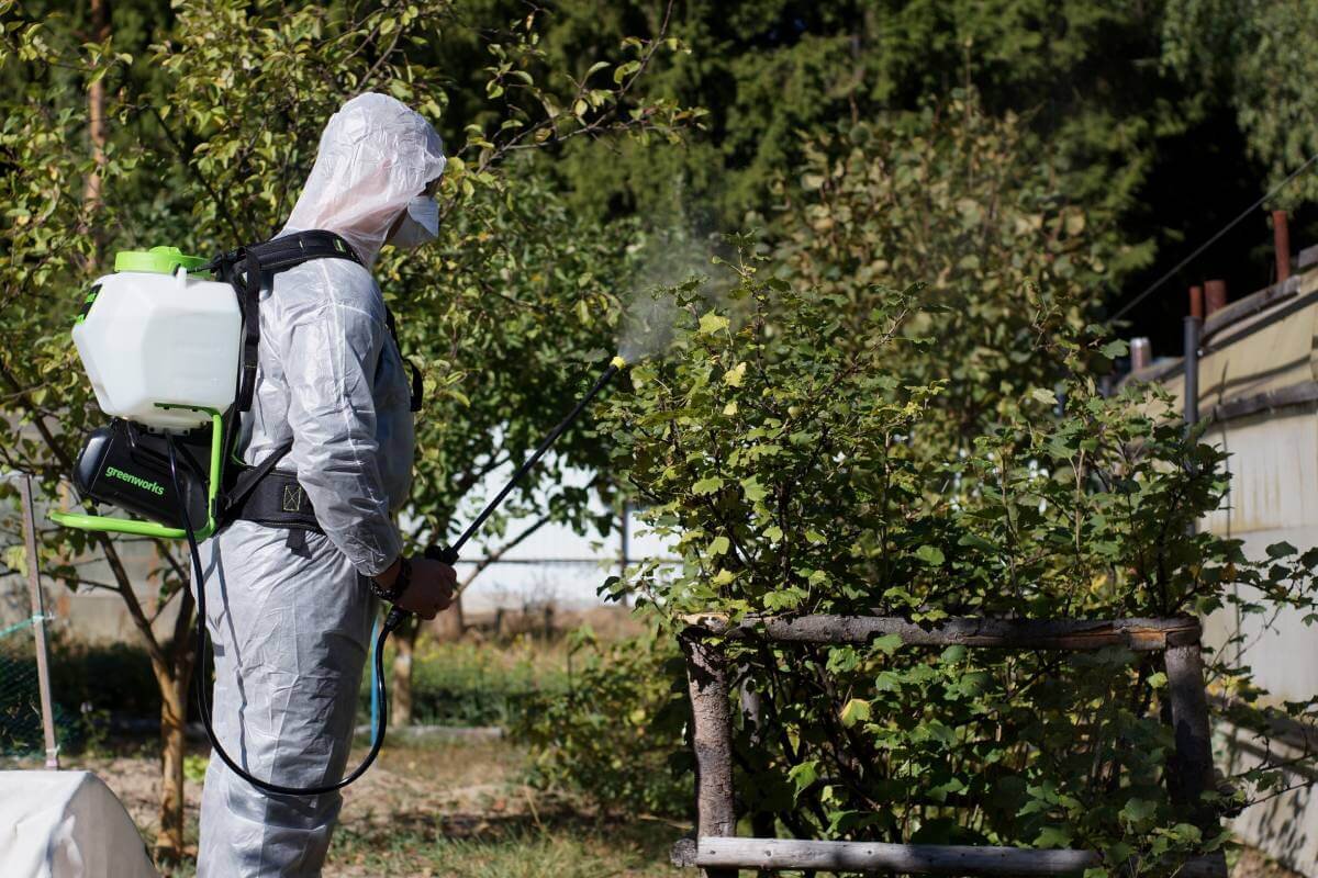 Опрыскиватель аккумуляторный 15 л. GREENWORKS G40BPS (5300007UA) [40В, 1х2.0 Ач, з/у]