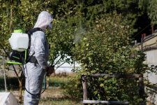 Опрыскиватель аккумуляторный 15 л. GREENWORKS G40BPS (5300007UA) [40В, 1х2.0 Ач, з/у]