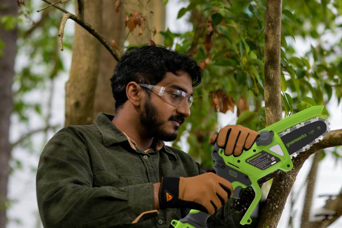 Пила садовая аккумуляторная GREENWORKS CS2410A (CS2410AUA) [24В, 1х2.0 Ач, з/у]