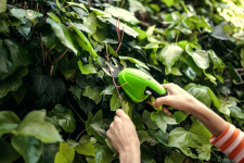 Ножницы садовые аккумуляторные GREENWORKS (1600107)
