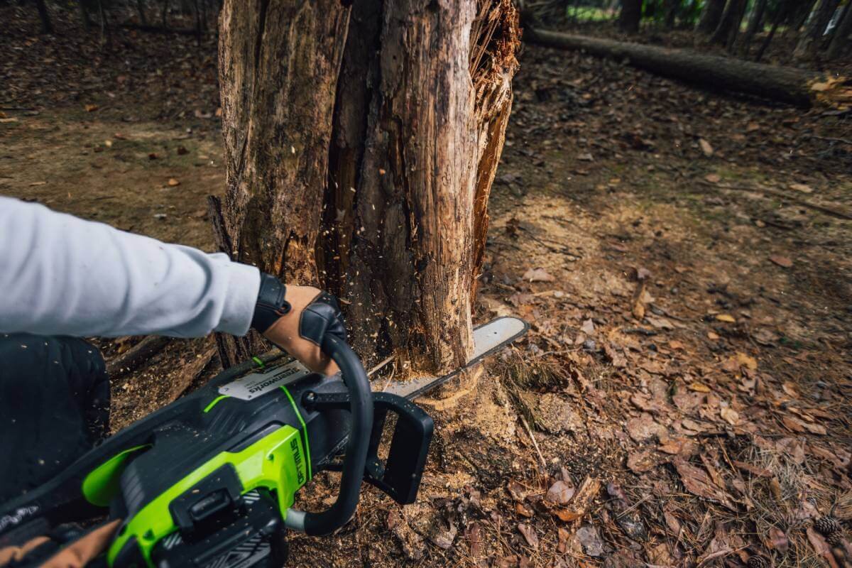 Пила цепная аккумуляторная GREENWORKS OCS800 (2009707) [82В, без акб и з/у]