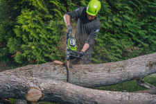 Пила цепная аккумуляторная GREENWORKS OCS600 (2009607) [82В, без акб и з/у]