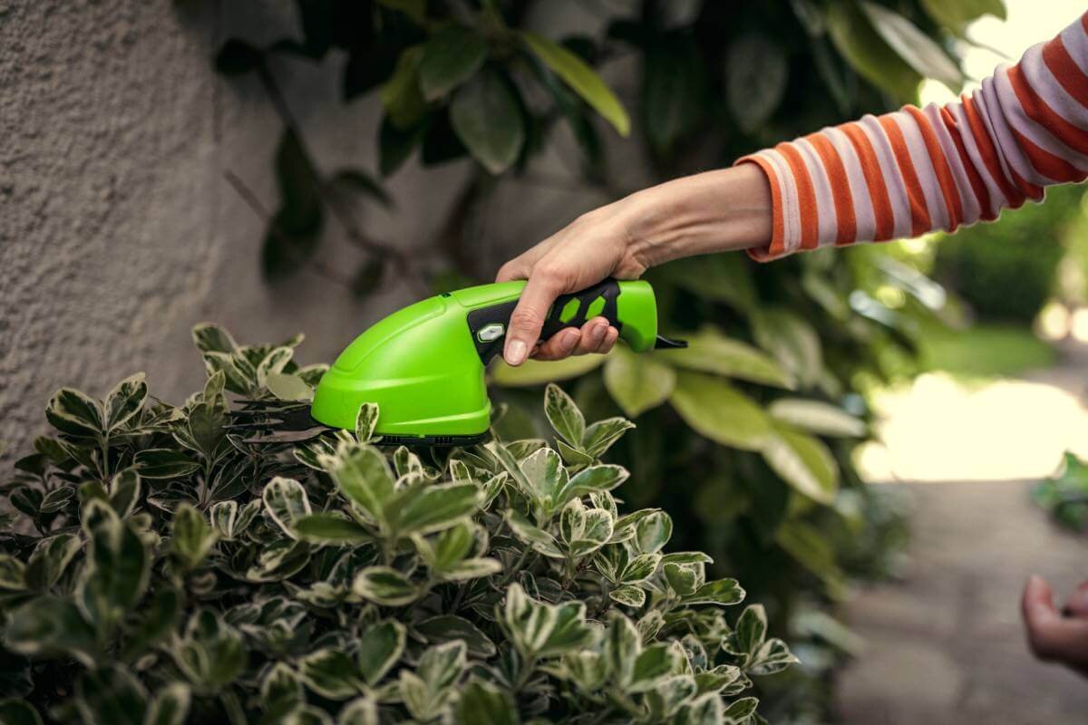 Ножницы садовые аккумуляторные GREENWORKS (1600107)