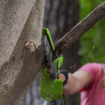 Пила садовая аккумуляторная GREENWORKS GD24CSMNX (2008707UB) [24В, 1х4.0 Ач, з/у]