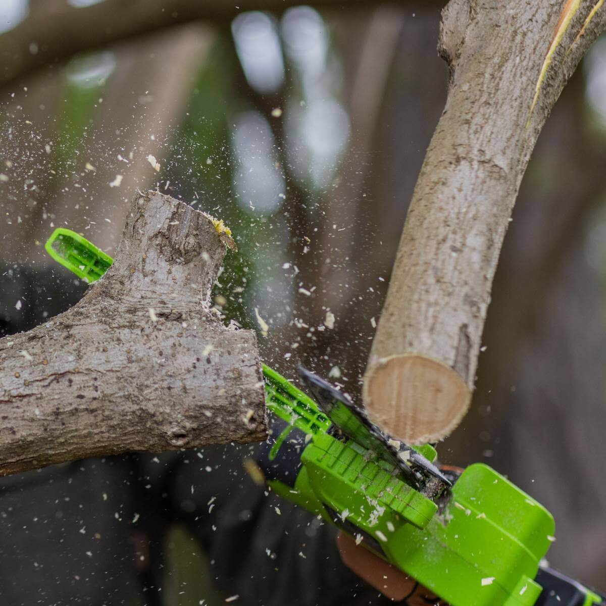 Пила садовая аккумуляторная GREENWORKS GD24CSMNX (2008707UA) [24В, 1х2.0 Ач, з/у]