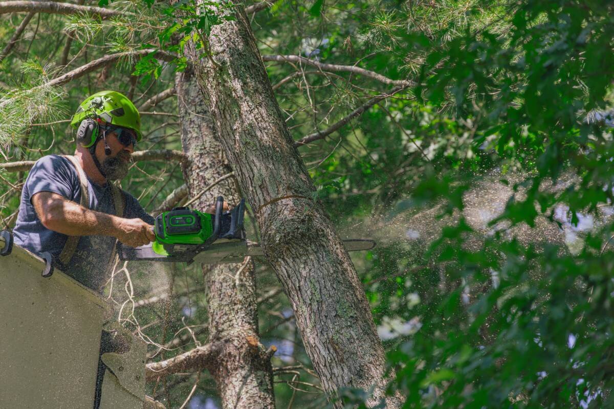 Пила цепная аккумуляторная GREENWORKS OCS500 (OCS500A1) [82В, без акб и з/у]