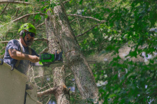 Пила цепная аккумуляторная GREENWORKS OCS500 (OCS500A1) [82В, без акб и з/у]