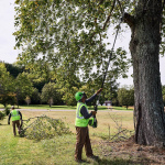 Высоторез аккумуляторный GREENWORKS PS102T (1402407) [82В, без акб и з/у]