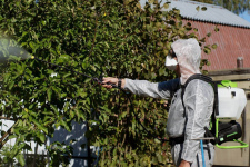 Опрыскиватель аккумуляторный 15 л. GREENWORKS G40BPS (5300007UA) [40В, 1х2.0 Ач, з/у]