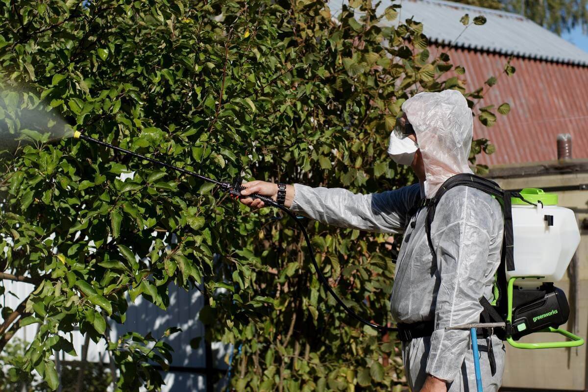 Опрыскиватель аккумуляторный 15 л. GREENWORKS G24BPSII (5300307UA) [24В, 1х2.0 Ач, з/у]